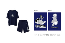 「ドラゴンボール」悟空、クリリン、ブルアらと“亀仙流”の修業だ☆リカバリーウェア登場で“よく動き　よく学び　よく遊び　よく食べて　よく休む”！ 画像