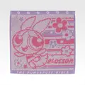 G賞 おでかけタオルコレクション