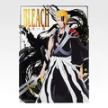 「一番くじ BLEACH Stirring Souls vol.5」G賞：クリアポスター（選べる全10種）