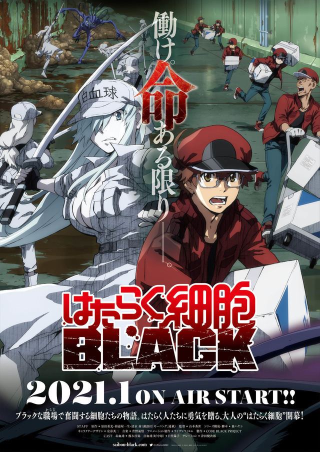 『はたらく細胞BLACK』キービジュアル（C）原田重光・初嘉屋一生・清水茜／講談社・CODE BLACK PROJECT